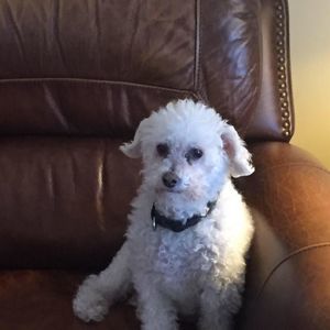 Meet your Posher, Matt